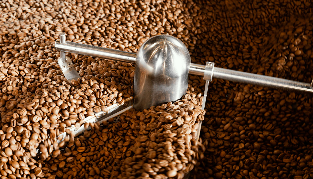 Café UCCAO : 1,05 milliard FCFA pour une usine XXL à Bafoussam